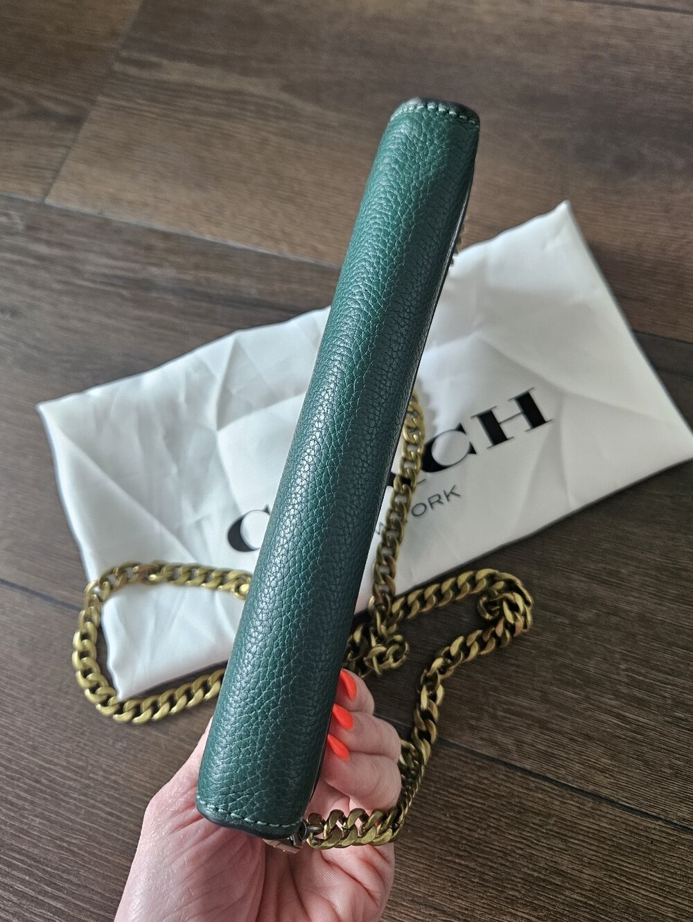 Coach Hayden Foldover Crossbody Wallet Green Pebbled Leather + Gold Chain &Dusty - Picture 6 of 15